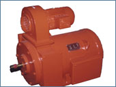 Slip Ring Motors For Nuclear Power Corporation